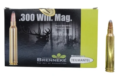 patron-300wm-brenneke-teilmantel-12g-185gr 1